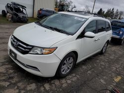 Carros salvage a la venta en subasta: 2014 Honda Odyssey EXL