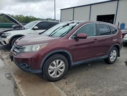 Salvage cars for sale at Apopka, FL auction: 2013 Honda CR-V EX