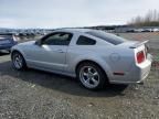 2005 Ford Mustang GT