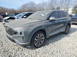 Salvage cars for sale at North Billerica, MA auction: 2023 Hyundai Santa FE Calligraphy