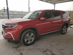 Salvage cars for sale at Anthony, TX auction: 2024 Honda Pilot EXL