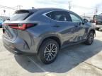 2024 Lexus NX 350 Base