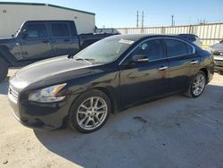 Nissan salvage cars for sale: 2013 Nissan Maxima S