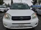 2004 Toyota Rav4