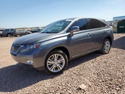 Salvage cars for sale at Phoenix, AZ auction: 2012 Lexus RX 450H