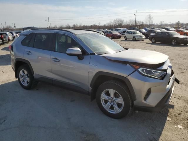 2019 Toyota Rav4 XLE