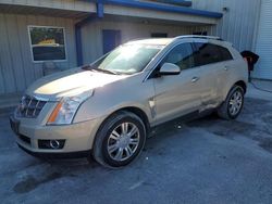 Salvage cars for sale at Fort Pierce, FL auction: 2011 Cadillac SRX Luxury Collection