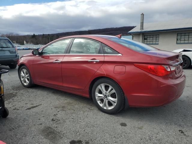 2013 Hyundai Sonata SE