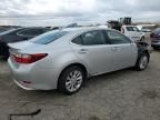 2013 Lexus ES 300H