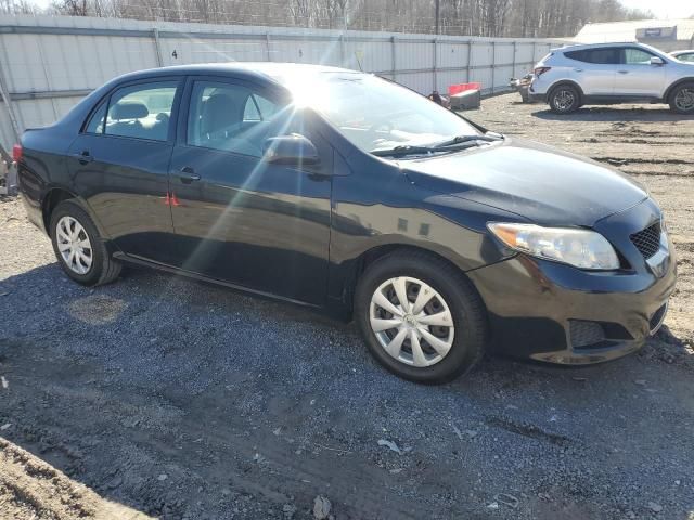 2010 Toyota Corolla Base