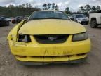 2002 Ford Mustang