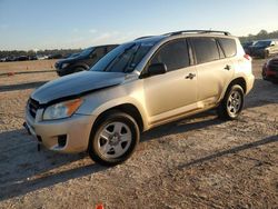 Salvage cars for sale at Houston, TX auction: 2010 Toyota Rav4