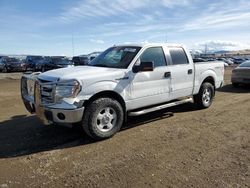 Salvage cars for sale at Helena, MT auction: 2013 Ford F150 Supercrew