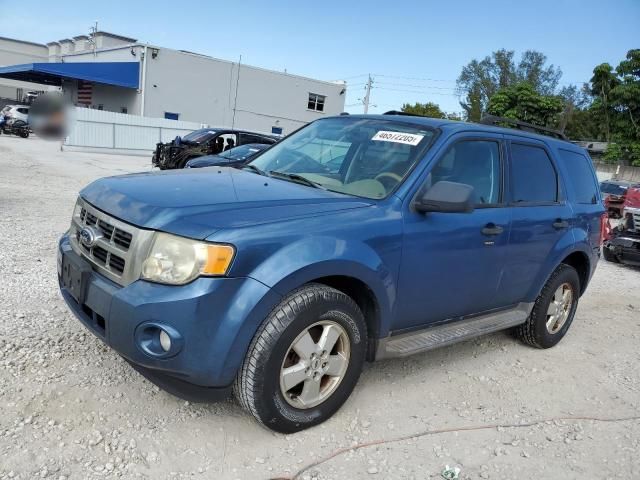 2010 Ford Escape XLT