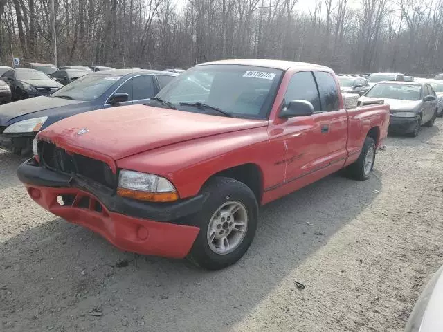 1998 Dodge Dakota