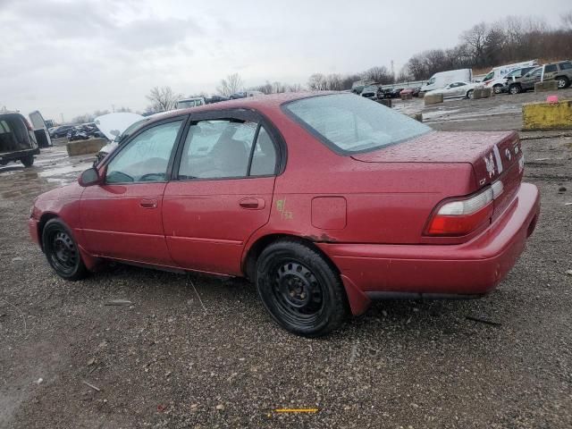 1997 Toyota Corolla DX