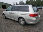 2008 Honda Odyssey EXL