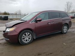 Salvage cars for sale at Columbia Station, OH auction: 2017 Honda Odyssey EX