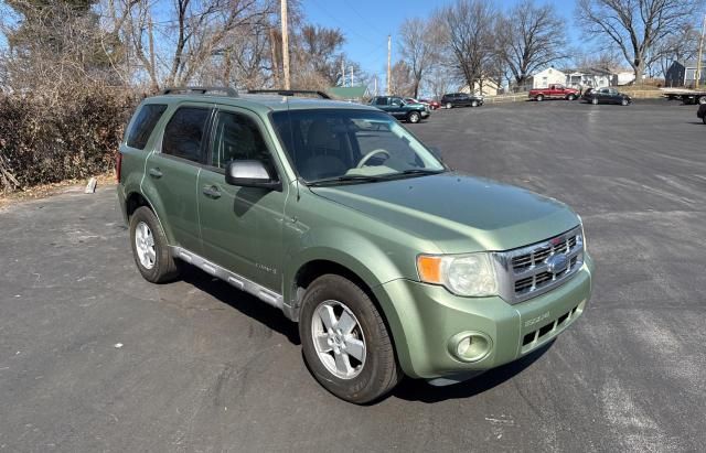 2008 Ford Escape XLT