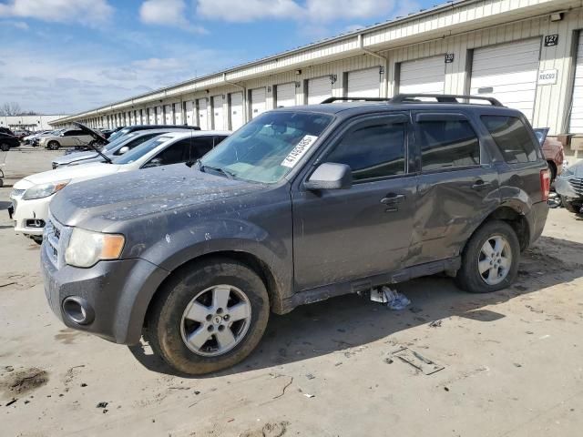 2009 Ford Escape XLT