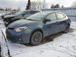 Salvage cars for sale at Bowmanville, ON auction: 2014 Toyota Corolla L