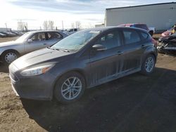 Salvage cars for sale at Rocky View County, AB auction: 2015 Ford Focus SE