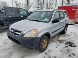 SUV salvage a la venta en subasta: 2003 Honda CR-V LX