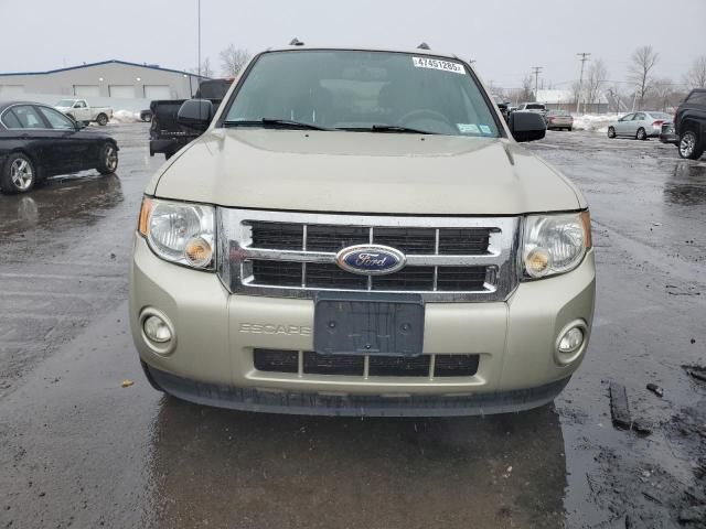 2012 Ford Escape XLT