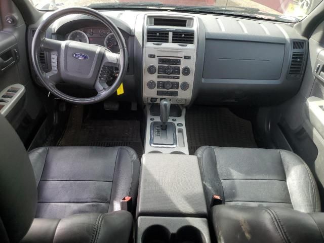 2009 Ford Escape XLT