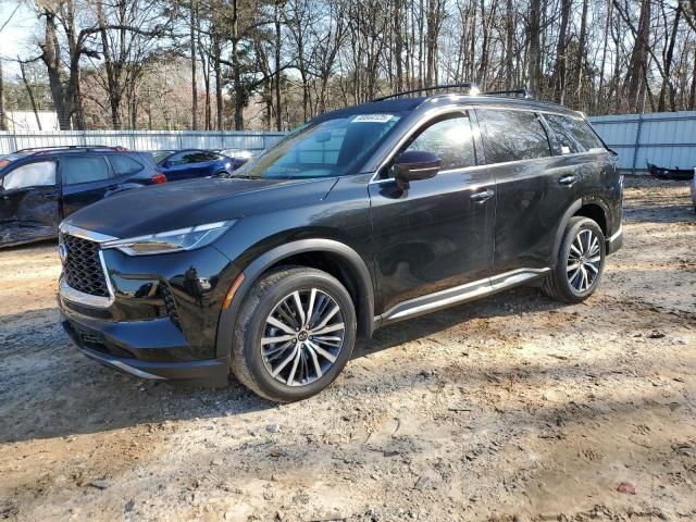 2024 Infiniti QX60 Autograph