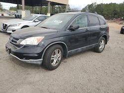 Salvage cars for sale at Gaston, SC auction: 2011 Honda CR-V EXL