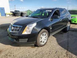 Salvage cars for sale at Tucson, AZ auction: 2011 Cadillac SRX Luxury Collection