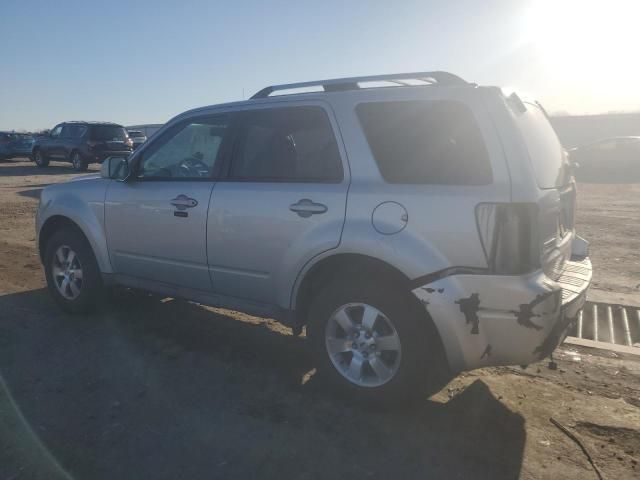 2009 Ford Escape Limited