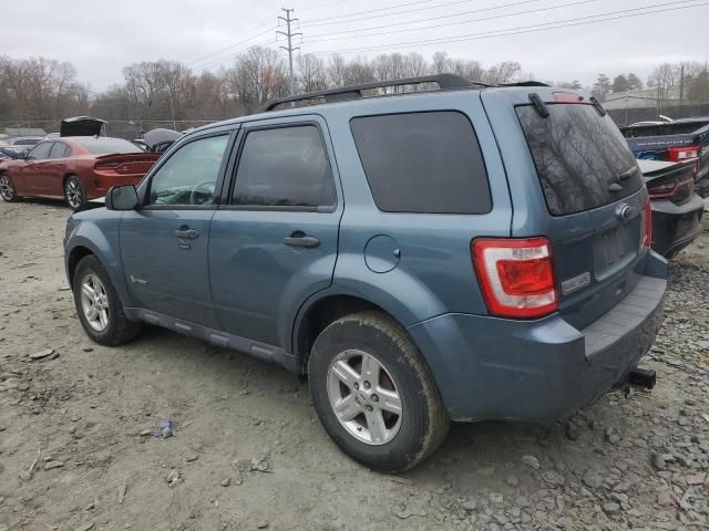 2011 Ford Escape Hybrid