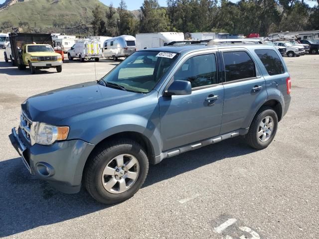 2011 Ford Escape Limited