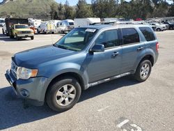 2011 Ford Escape Limited en venta en Van Nuys, CA