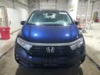 2023 Honda Odyssey EXL