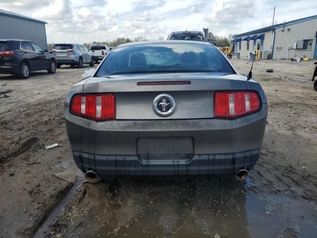 2010 Ford Mustang