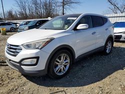 Salvage cars for sale at Windsor, NJ auction: 2013 Hyundai Santa FE Sport