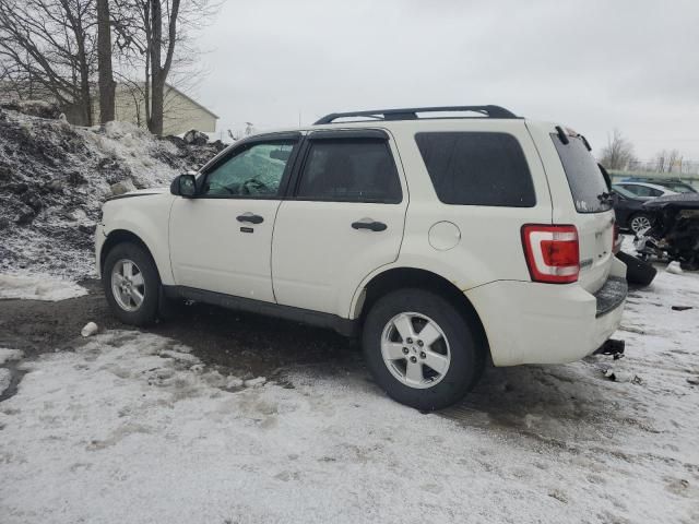 2012 Ford Escape XLT