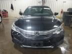 2017 Honda Accord Sport Special Edition