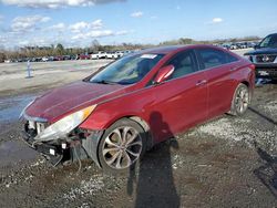 Salvage cars for sale at Lumberton, NC auction: 2013 Hyundai Sonata SE