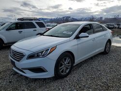 Carros salvage sin ofertas aún a la venta en subasta: 2017 Hyundai Sonata SE