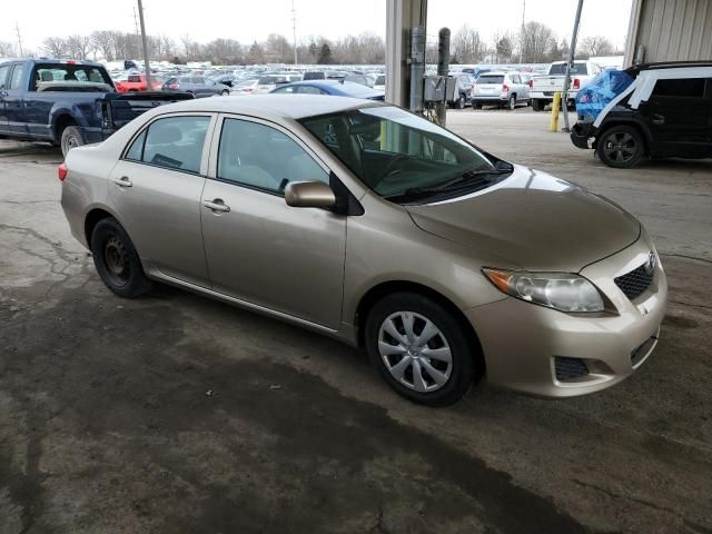 2010 Toyota Corolla Base