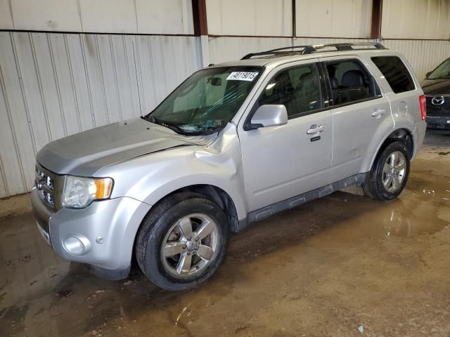 2010 Ford Escape Limited