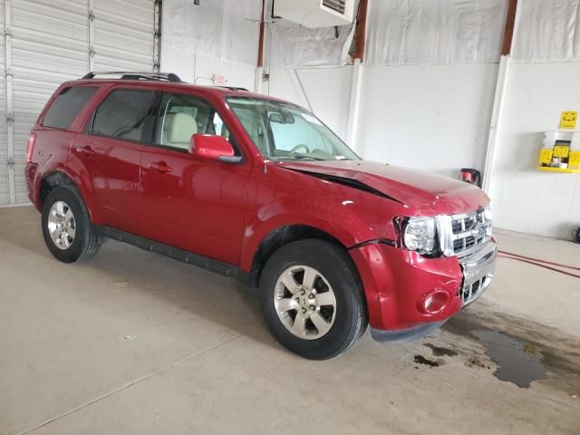 2011 Ford Escape Limited