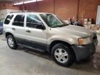 2004 Ford Escape XLT