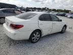 2006 Lexus ES 330