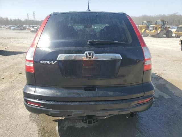 2010 Honda CR-V EXL