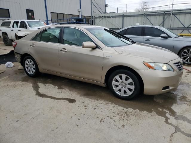 2007 Toyota Camry Hybrid